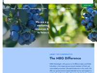 blueberries.com Webseite Vorschau