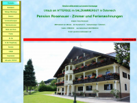 pension-rosenauer.com Webseite Vorschau