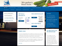 ludewig-gmbh.com Webseite Vorschau
