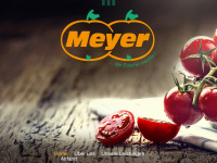 meyer-winsen.de Webseite Vorschau