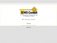 mms-consult.de Webseite Vorschau