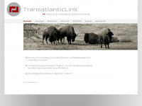 transatlanticlink.de Webseite Vorschau
