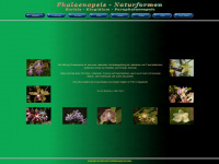 phalaenopsis-natur.de Webseite Vorschau