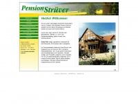 pensionstruever.de Webseite Vorschau