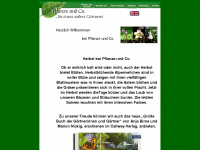 pflanze-und-co.de Webseite Vorschau