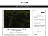 preuss24.de Webseite Vorschau