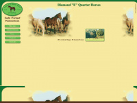 quarterhorses-verden.de Webseite Vorschau