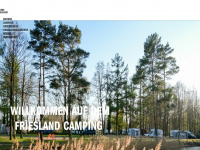 friesland-camping.de Webseite Vorschau