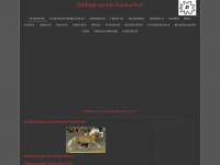 haflingergestueteschachtal.de Webseite Vorschau