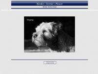 border-terrier-power.de Webseite Vorschau