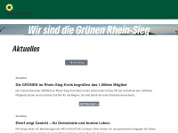 gruene-rhein-sieg.de Webseite Vorschau