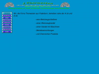 thorwesten-werkzeugservice.de Webseite Vorschau