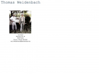 tweidenbach.de Webseite Vorschau