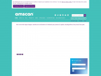 amscan.co.uk Webseite Vorschau