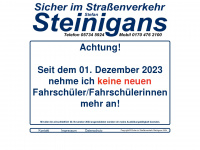 steinigans.de Webseite Vorschau