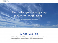 bali-consulting.com Webseite Vorschau