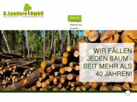 baumundholz.de Webseite Vorschau