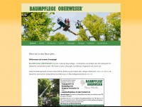 baumpflege-oberweser.de Webseite Vorschau
