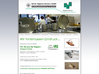 bhs-hygiene-service.de Webseite Vorschau
