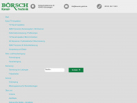 boersch-gmbh.de Webseite Vorschau