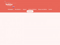 bolsius.com Webseite Vorschau