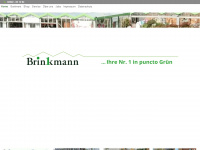 brinkmann-oelde.de