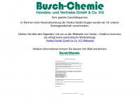 busch-chemie.com Webseite Vorschau
