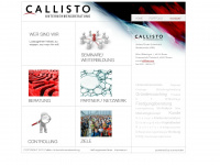 Callisto-unternehmensberatung.de