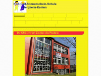 carl-sonnenschein-grundschule.de Webseite Vorschau