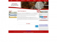 synise.com Webseite Vorschau