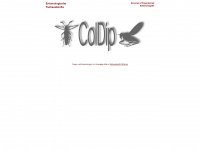 coldip.de Webseite Vorschau