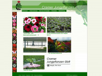 cramer-jungpflanzen.de Webseite Vorschau