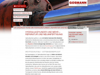 gosmann-hytec.de Webseite Vorschau