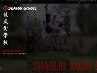 dragon-school.de Webseite Vorschau