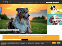 dogs-family.com Webseite Vorschau