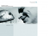 dolphin-consulting.de Webseite Vorschau