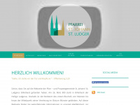 domsite-billerbeck.de Webseite Vorschau