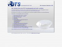 dts-diamantwerkzeuge.de Webseite Vorschau