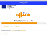 elektro-gnauk.de Webseite Vorschau