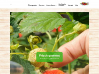 erdbeeren-levenig.de Webseite Vorschau
