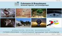 fb-geologie.de Webseite Vorschau