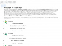 schuemmer-containerdienst.de Thumbnail