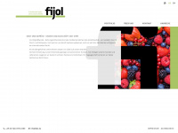 fijol.de Webseite Vorschau