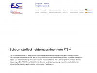 ftsm-gmbh.de Webseite Vorschau