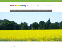 p-kaemmerling.de Webseite Vorschau