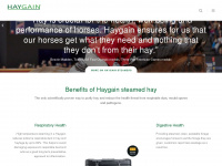 haygain.com Webseite Vorschau