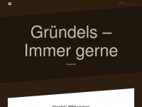 gruendels-siegen.de Webseite Vorschau