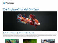 g-hoener.de Webseite Vorschau