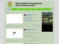 blumenhalle-schmalzgrube.de Webseite Vorschau
