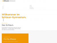 schlaun-gymnasium.de Webseite Vorschau